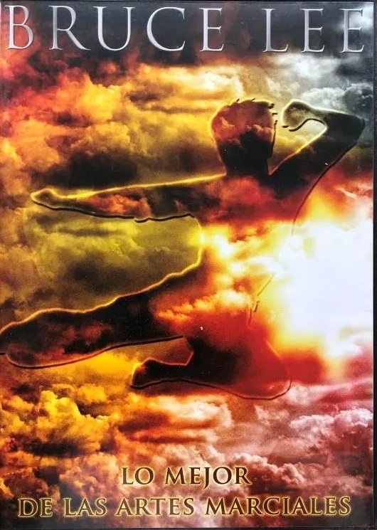 LO MEJOR DE LAS ARTES MARCIALES / BRUCE LEE