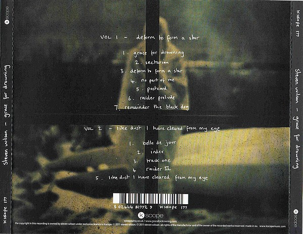 STEVEN WILSON - GRACE FOR DROWNING - Imagen 2