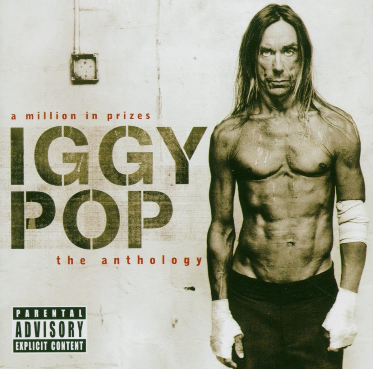 IGGY POP - A MILLION IN PIEZES (THE ANTHOLOGY)