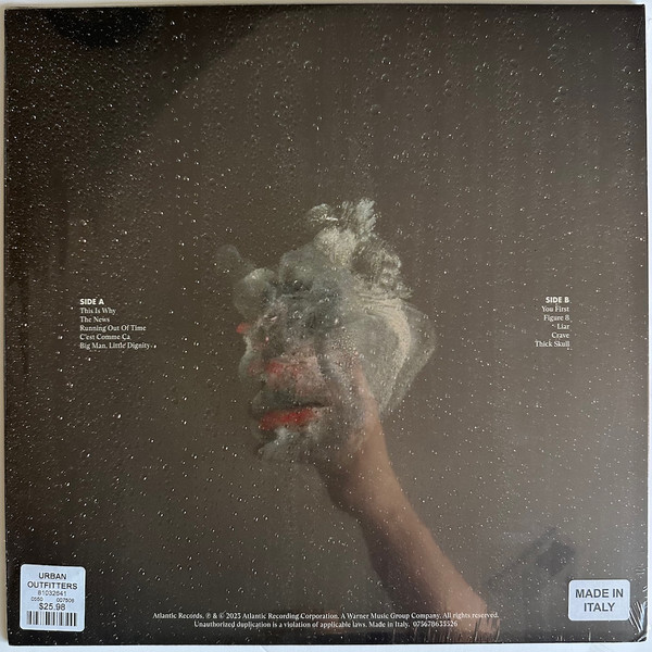 PARAMORE - THIS IS WHY - Imagen 3