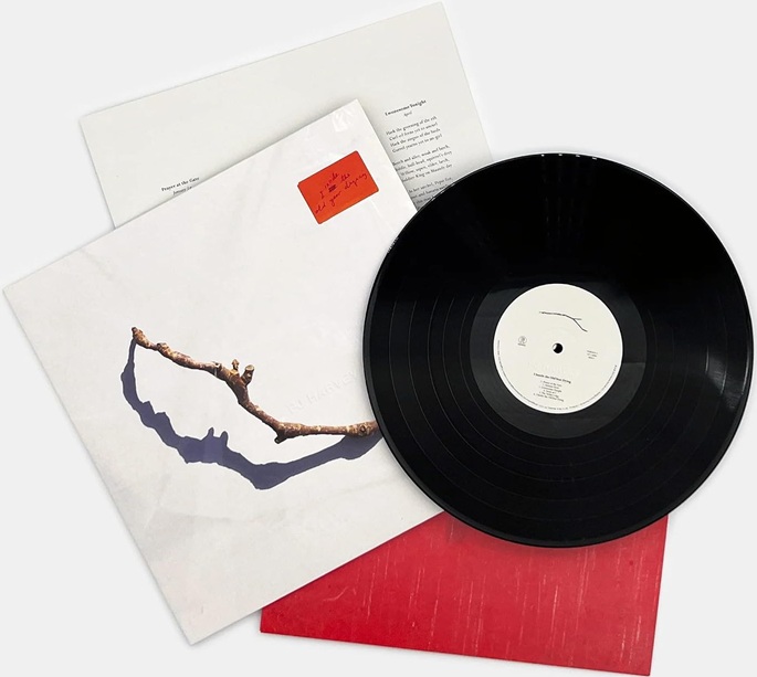 PJ HARVEY - I INSIDE THE OLD YEAR DYING