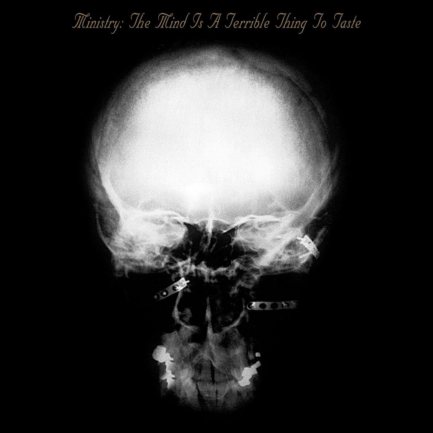 MINISTRY - THE MIND IS A TERRIBLE THING TO TASTE