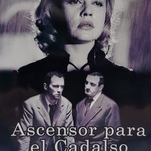 ASCENSOR PARA EL CADALSO