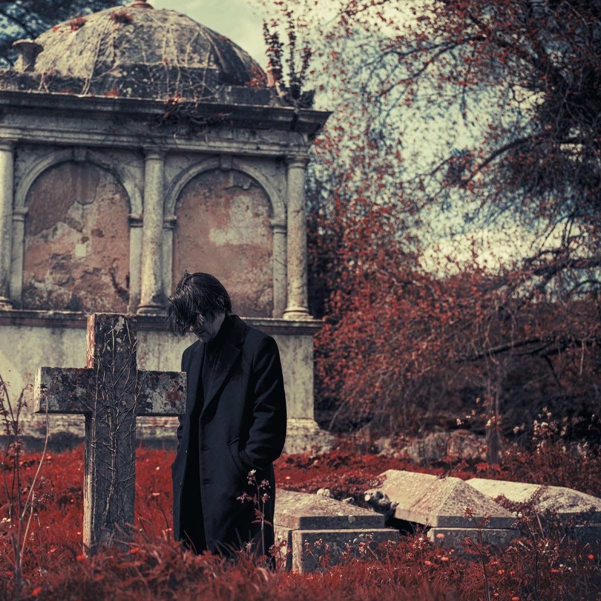 STEVEN WILSON - REQUIEM FOR A VILLAGE - Imagen 2