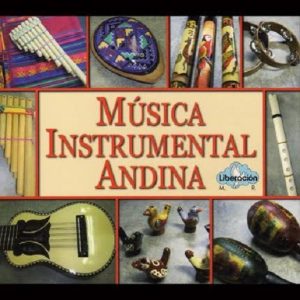 MUSICA INSTRUMENTAL ANDINA