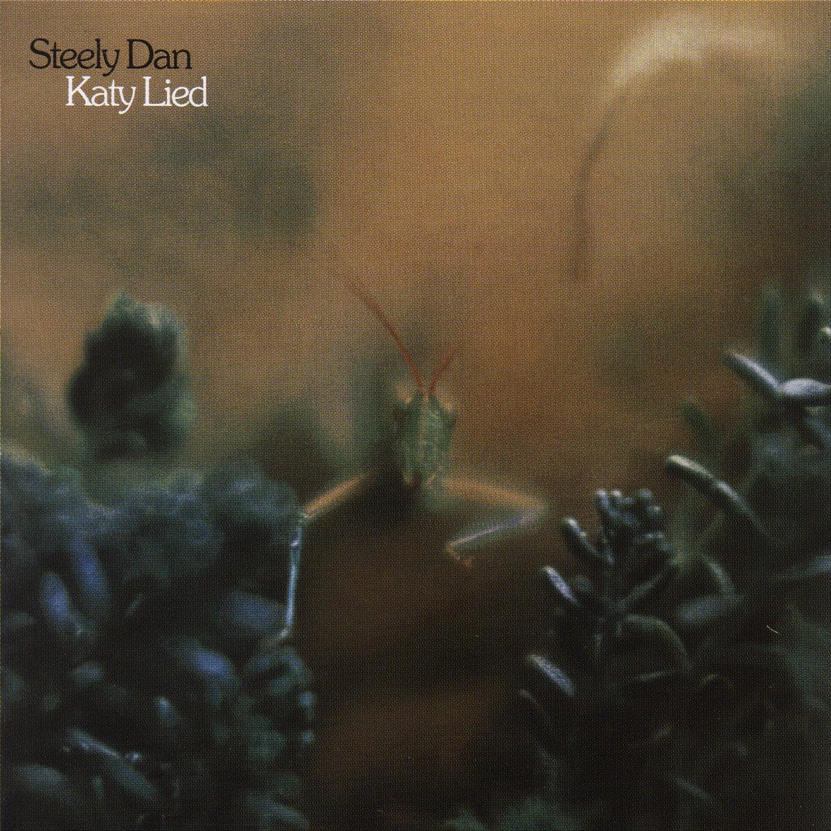 STEELY DAN - KATY LIED