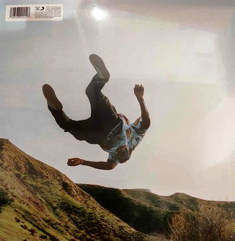 TYLER THE CREATOR - WOLF - Imagen 2