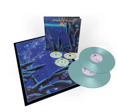 YES - MIRROR TO THE SKY