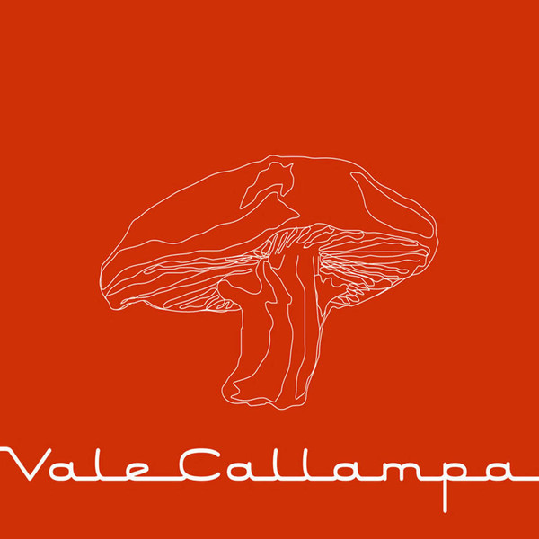 CAFE TACVBA - VALE CALLAMPA