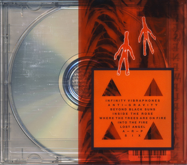 THESE NEW PURITANS - INSIDE THE ROSE - Imagen 3