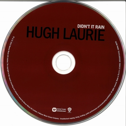 HUGH LAURIE - DIDNT IT RAIN - Imagen 2