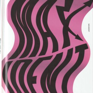 STRAY KIDS - MAXIDENT