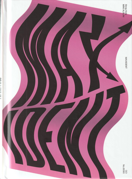 STRAY KIDS - MAXIDENT