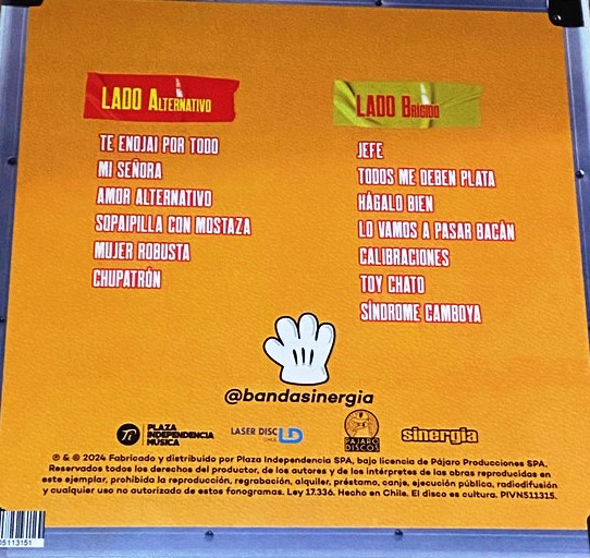 SINERGIA - GRANDES EXITOS DEL METAL PAJARO - Imagen 2