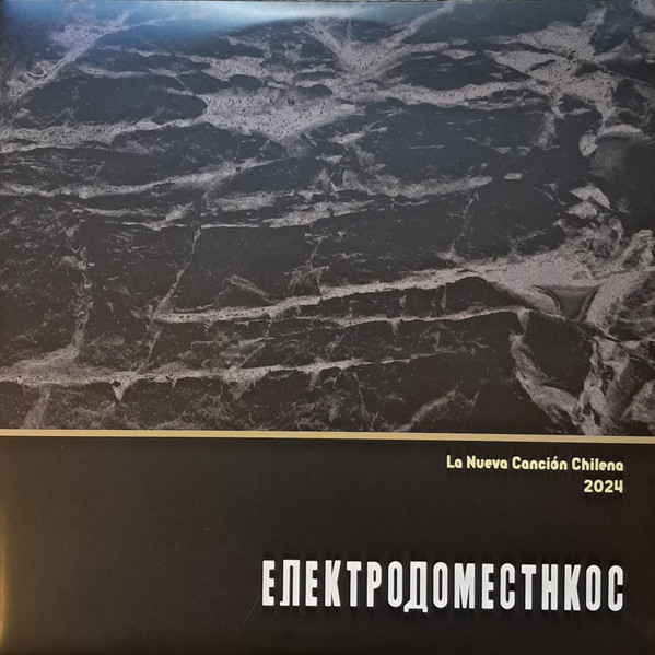 ELECTRODOMESTICOS - LA NUEVA CANCION CHILENA