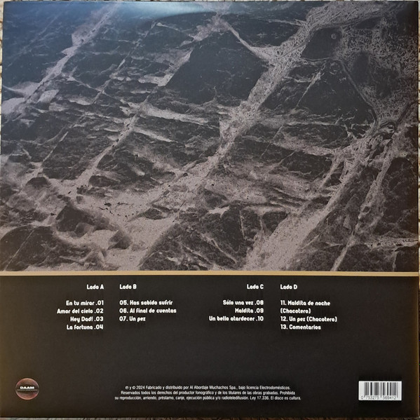 ELECTRODOMESTICOS - LA NUEVA CANCION CHILENA - Imagen 2