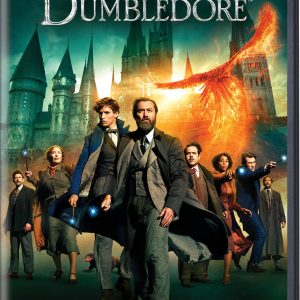 FANTASTIC BEASTS - THE SECRETS OF THE DUMBLEDORE