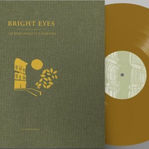 BRIGHT EYES - IM WIDE AWAKE ITS MORNING - A COMPANION - LIMITED EDITION