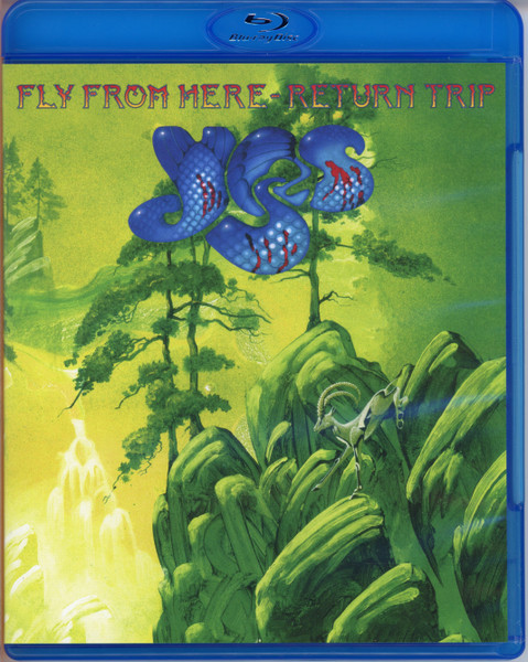 YES - FLY FROM HERE - RETURN TRIP