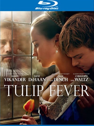 TULIP FEVER