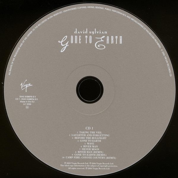 DAVID SYLVIAN - GONE TO EARTH - Imagen 2