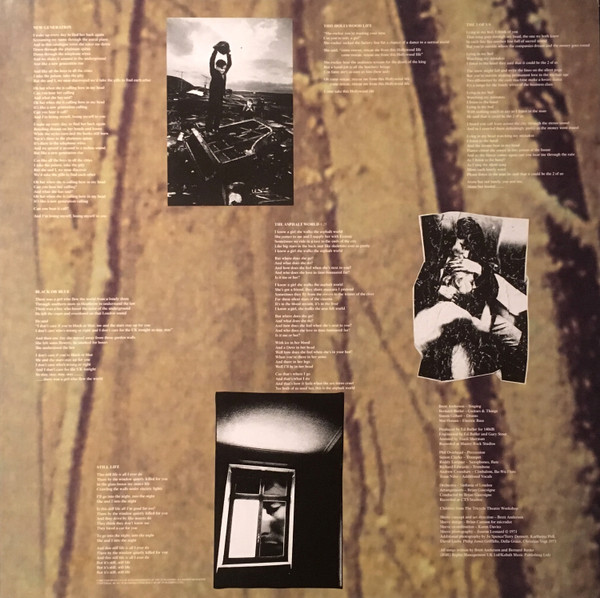 SUEDE - DOG MAN STAR - Imagen 2