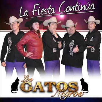 LOS GATOS NEGROS - LA FIESTA CONTINUA - 15 EXITOS
