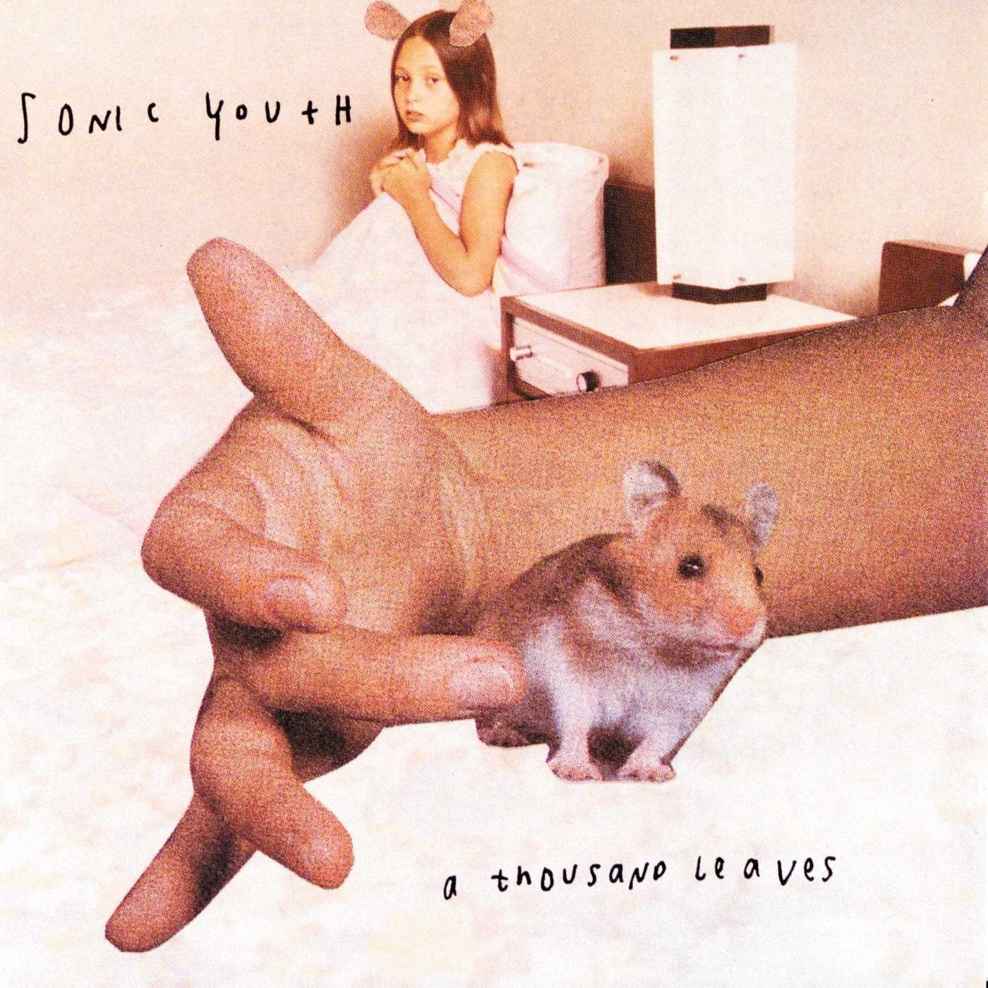 SONIC YOUTH - A THOUSAND LEAVES