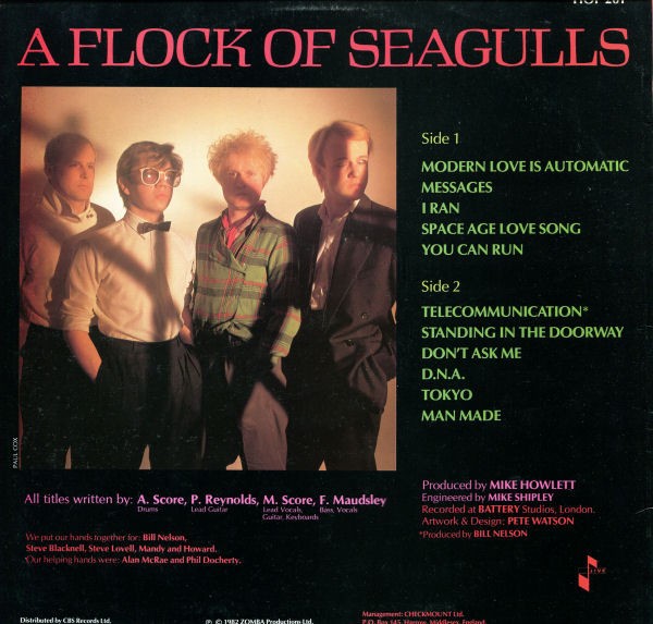 FLOCK OF SEAGULLS - FLOCK OF SEAGULLS - Imagen 2