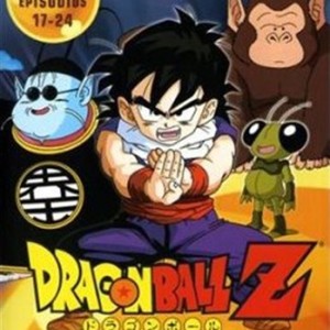 DRAGON BALL Z - LA SAGA DE LOS SAIYANS - Episodios 17 - 24