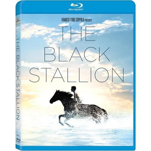 THE BLACK STALLION
