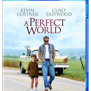 A PERFECT WORLD