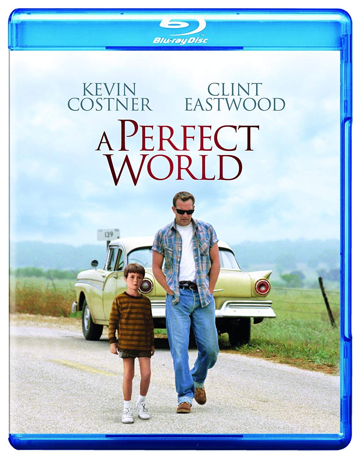 A PERFECT WORLD