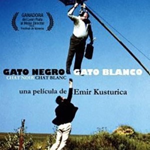 GATO NEGRO GATO BLANCO
