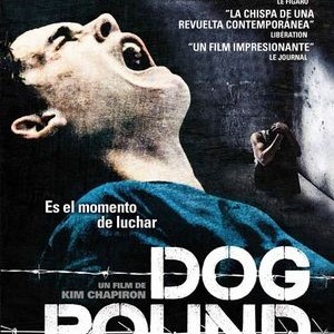 DOG POUND