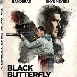 BLACK BUTTERFLY