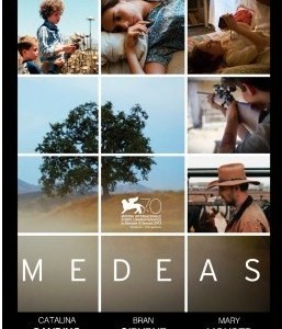 MEDEAS