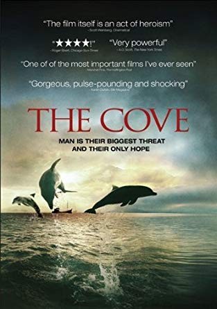 THE COVE