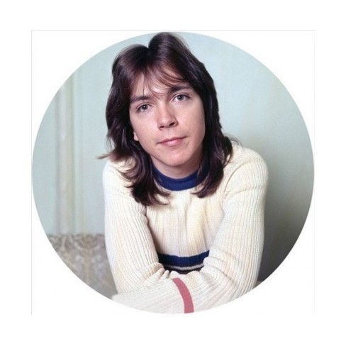 DAVID CASSIDY - I THINK I LOVE YOU