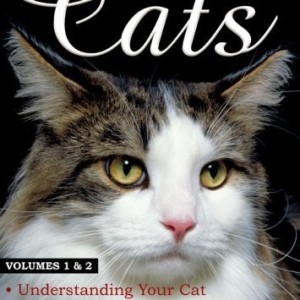 THE WORLD OF CATS - VOLUMEN 1 & 2