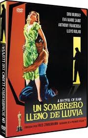 UN SOMBRERO LLENO DE LLUVIA