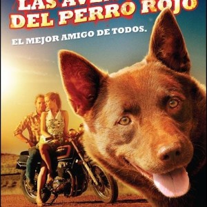 LAS AVENTURAS DEL PERRO ROJO
