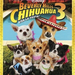 BEVERLY HILLS CHIHUAHUA 3