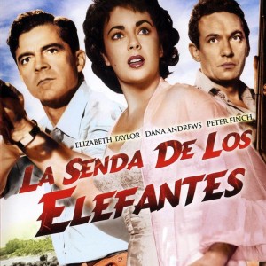 LA SENDA DE LOS ELEFANTES