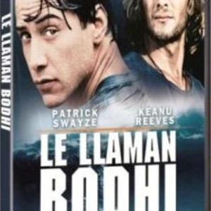 LE LLAMAN BODHI