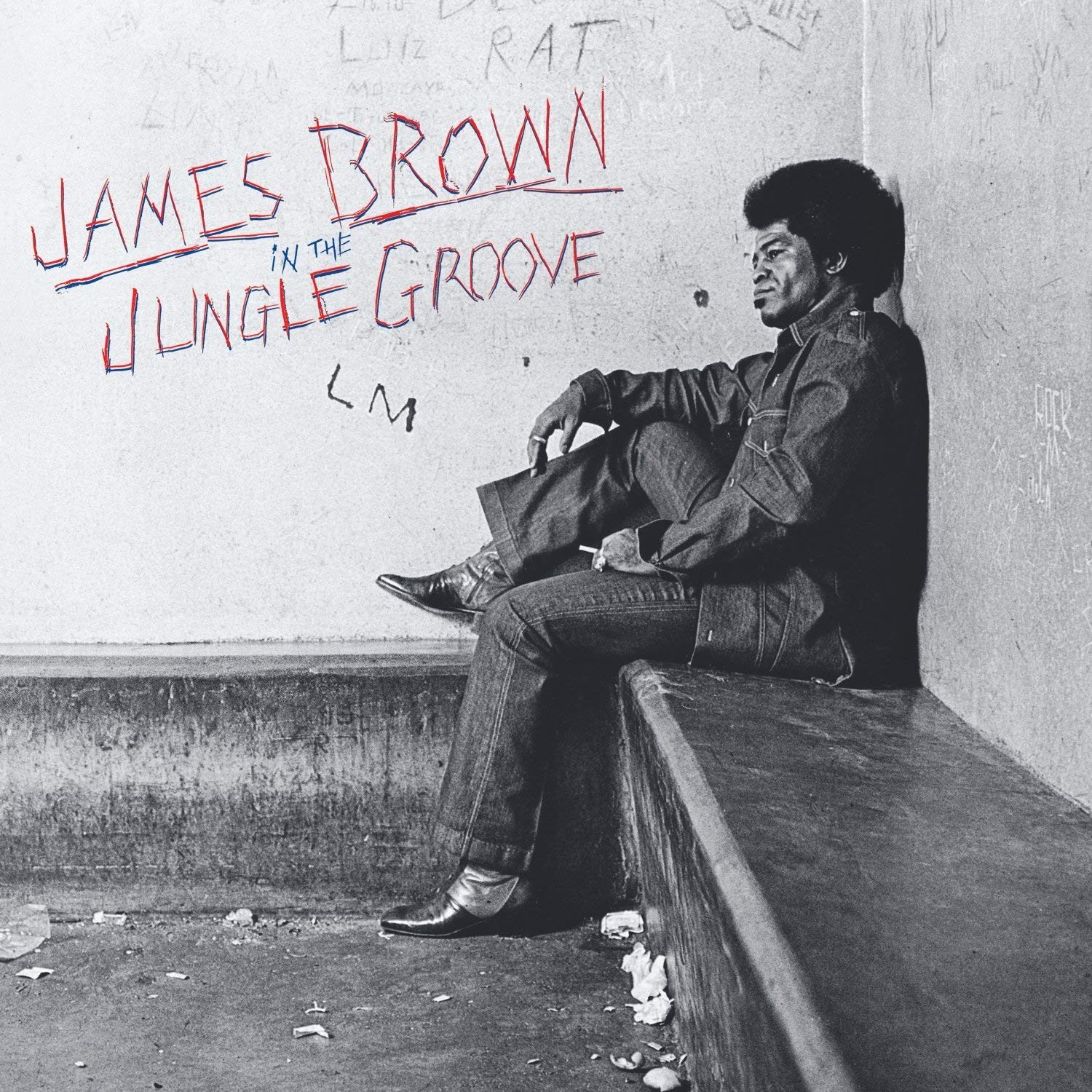 JAMES BROWN - IN THE JUNGLE GROOVE