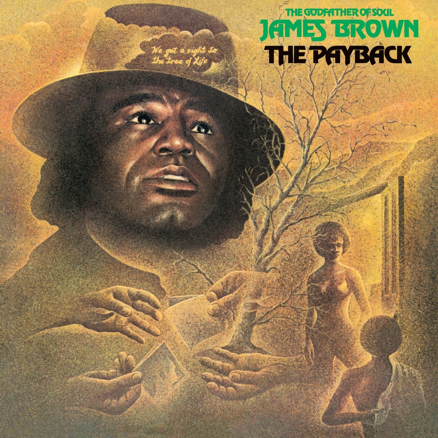 JAMES BROWN -THE PAYBACK