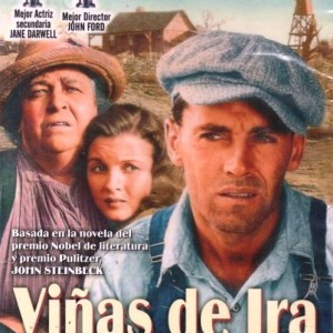 VIÑAS DE IRA
