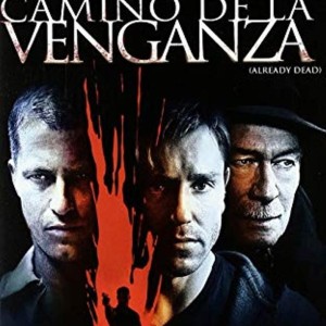 EL CAMINO DE LA VENGANZA