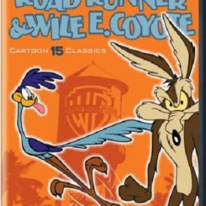 LOONEY TUNES SUPER STARS - ROAD RUNNER & WILE E COYOTE